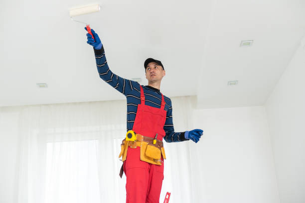 Best Industrial Mold Remediation  in Mineralwells, WV