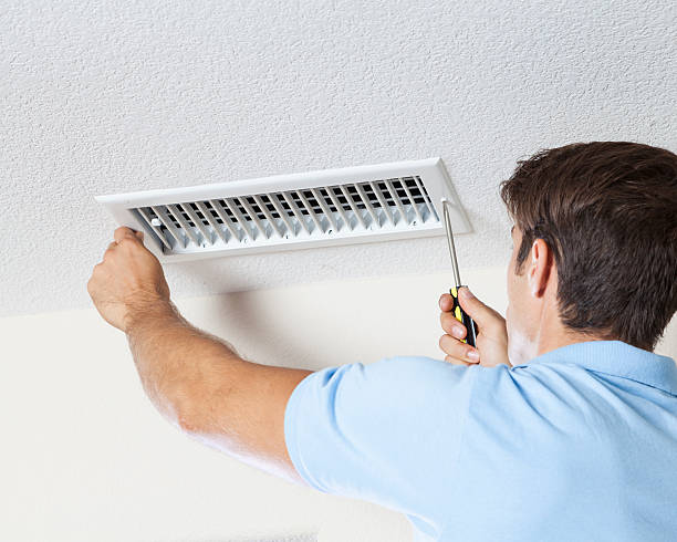 Best Mold Prevention Services  in Mineralwells, WV