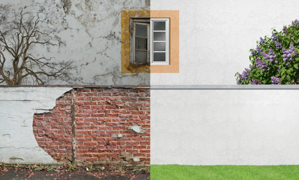 Best Commercial Mold Inspection  in Mineralwells, WV