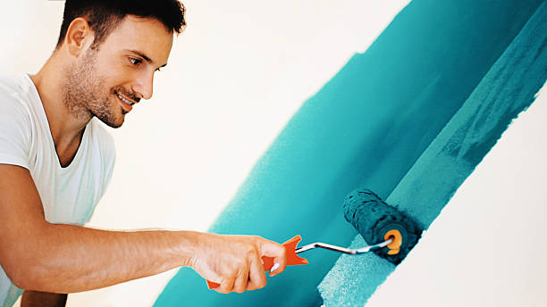 Best Basement Mold Removal  in Mineralwells, WV