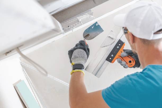 Best Airborne Mold Testing  in Mineralwells, WV